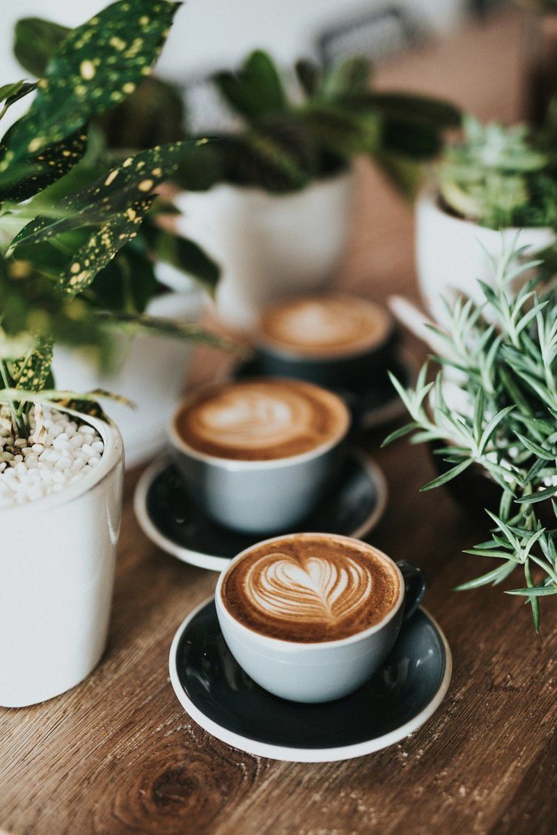 Latte Sample